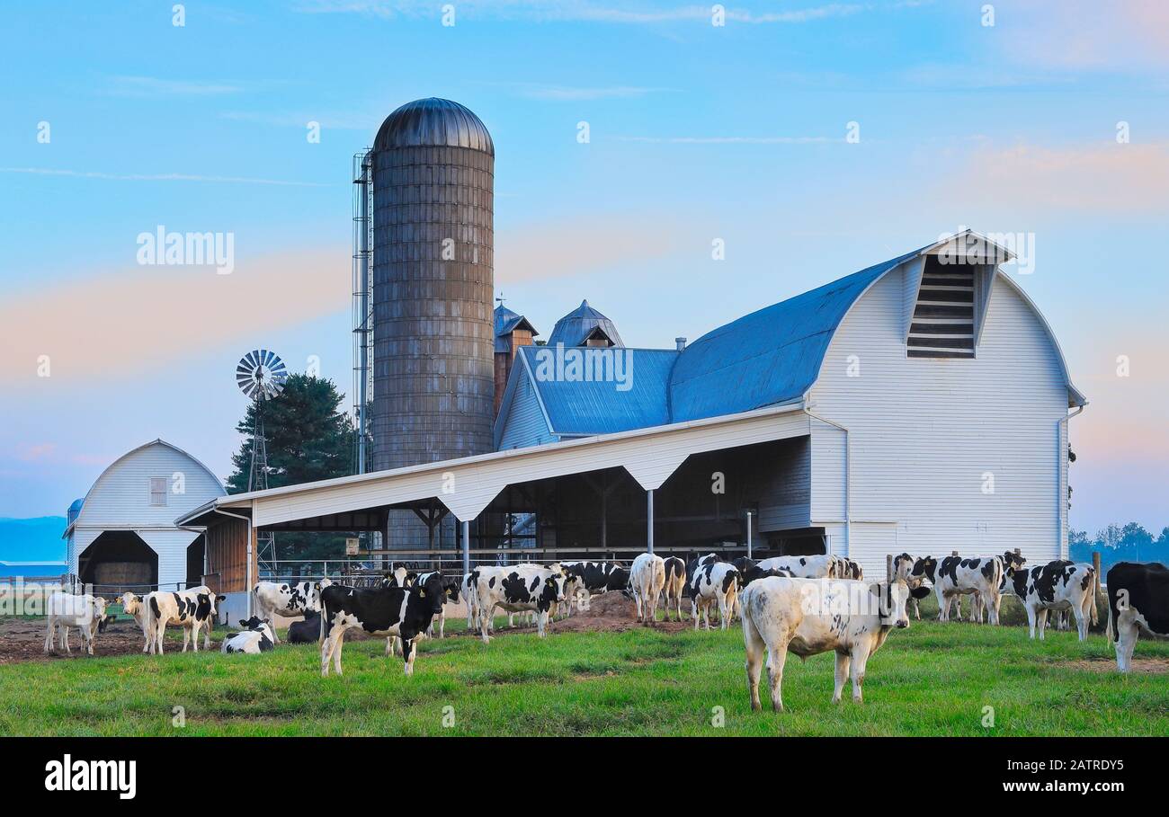 Ferme mennonite, Dayton, vallée de Shenandoah, en Virginie, USA Banque D'Images