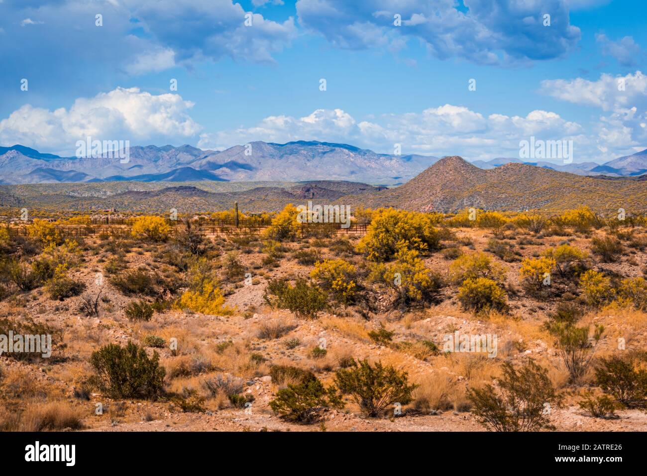 Vue sur l'ouest des montagnes qui entourent Wickenburg, Arizona. Le paysage du désert est rempli d'arbres de Palo Verde en pleine floraison. Banque D'Images