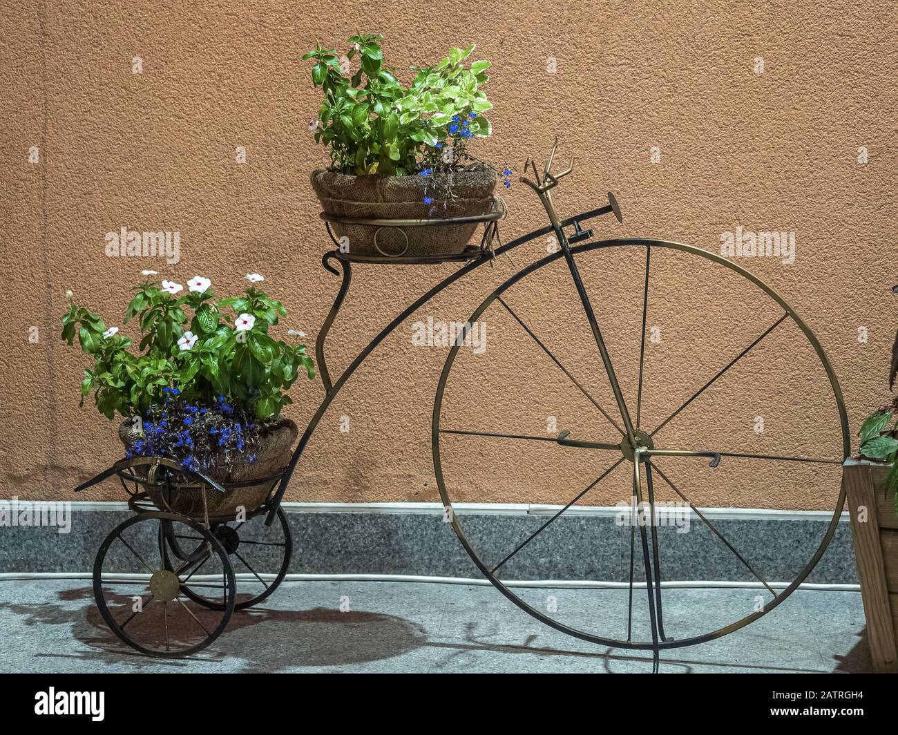 Porte-fleurs décoratif en forme de vélo avec pots de fleurs et fleurs en  eux Photo Stock - Alamy