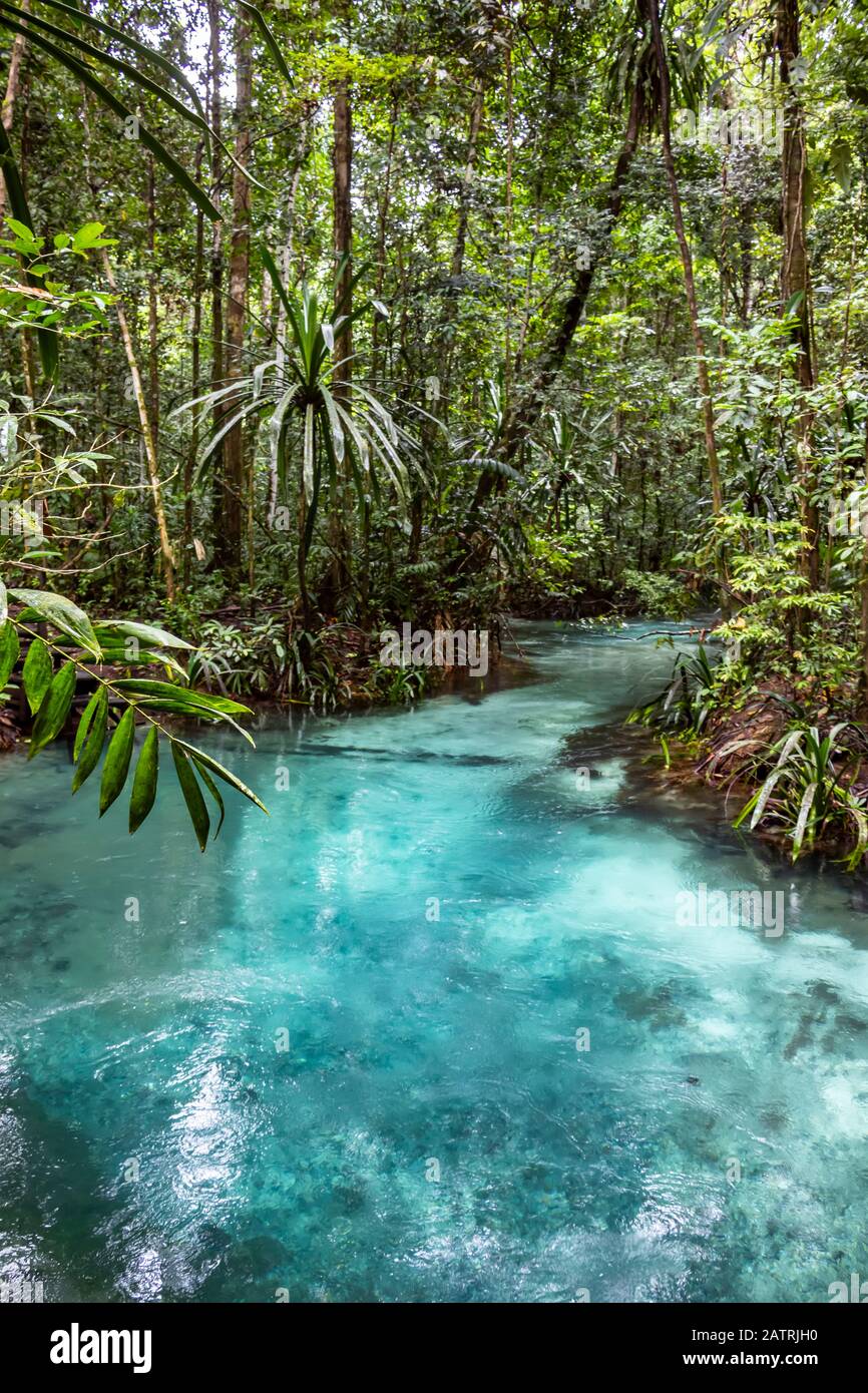 Kali Biru (Blue River); Papouasie occidentale, Indonésie Banque D'Images