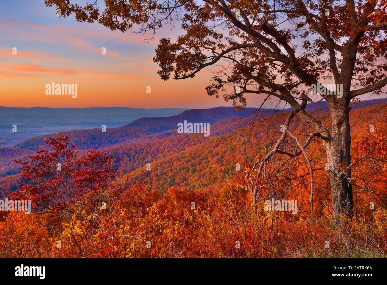 Le coucher du soleil, donnent sur la montagne Turk, Shenandoah National Park, Virginia, USA Banque D'Images