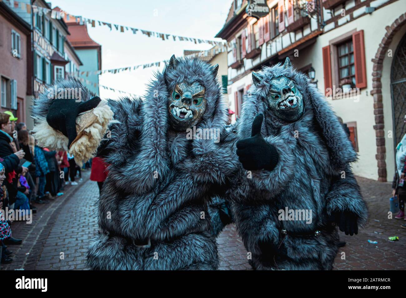 wolf - narrenverein reetiwölf - zwei wolfsgestalten - fastnachtsutzug - ettenheim - allemagne du sud Banque D'Images
