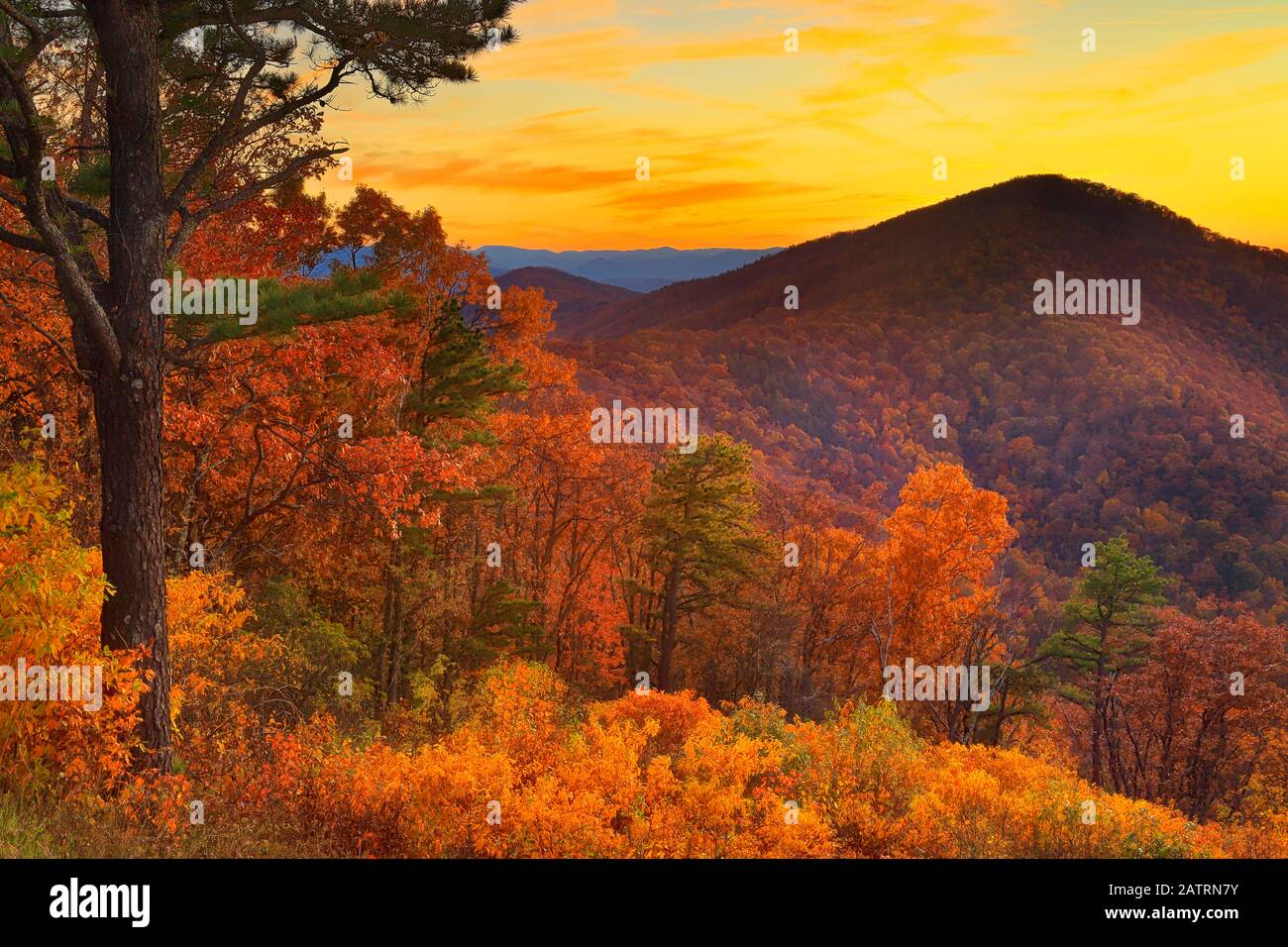 Le coucher du soleil, donnent sur la montagne Turk, Shenandoah National Park, Virginia, USA Banque D'Images