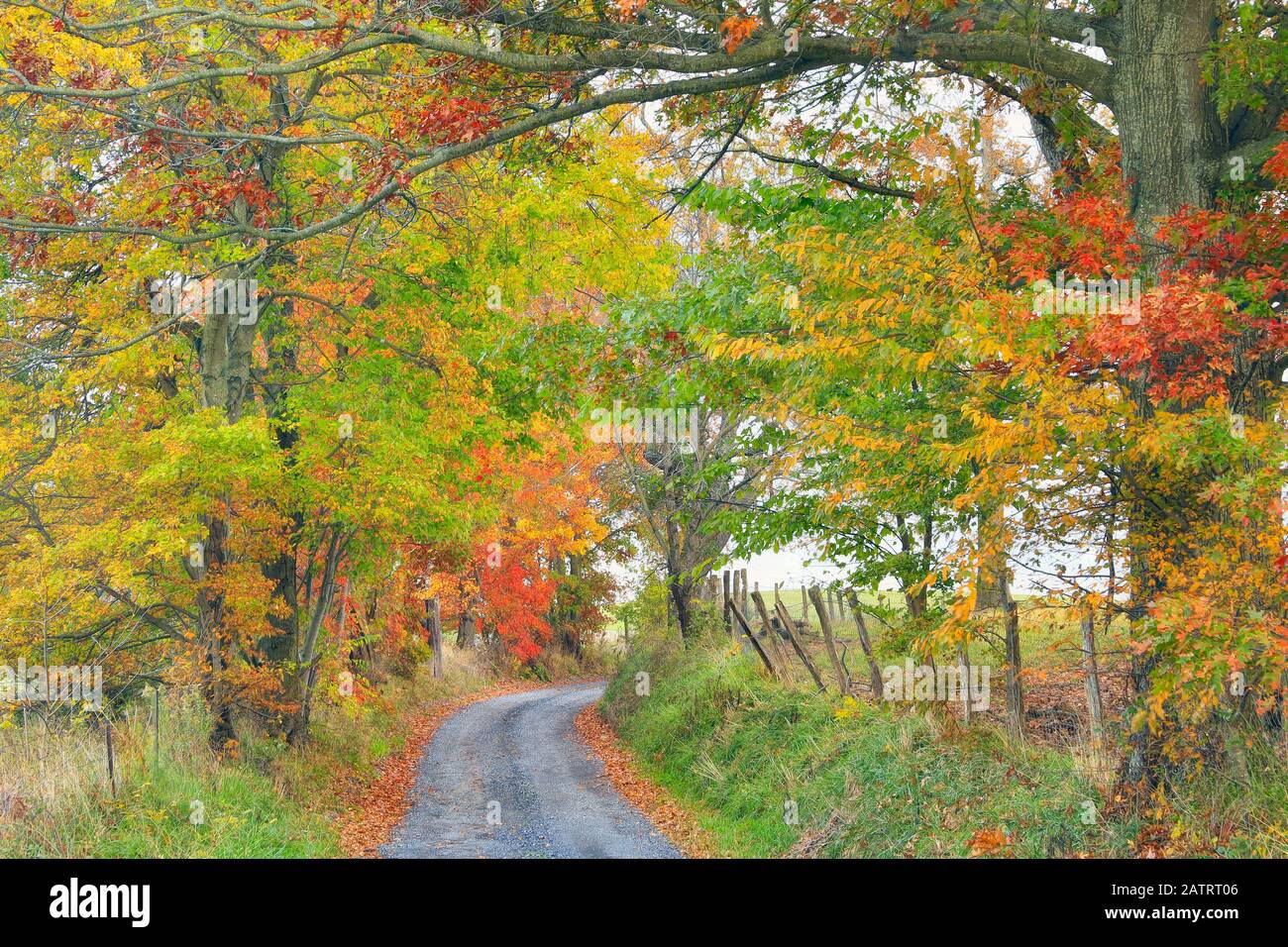 Country Road À Swoope, Shenandoah, Valley, Virginie, États-Unis Banque D'Images