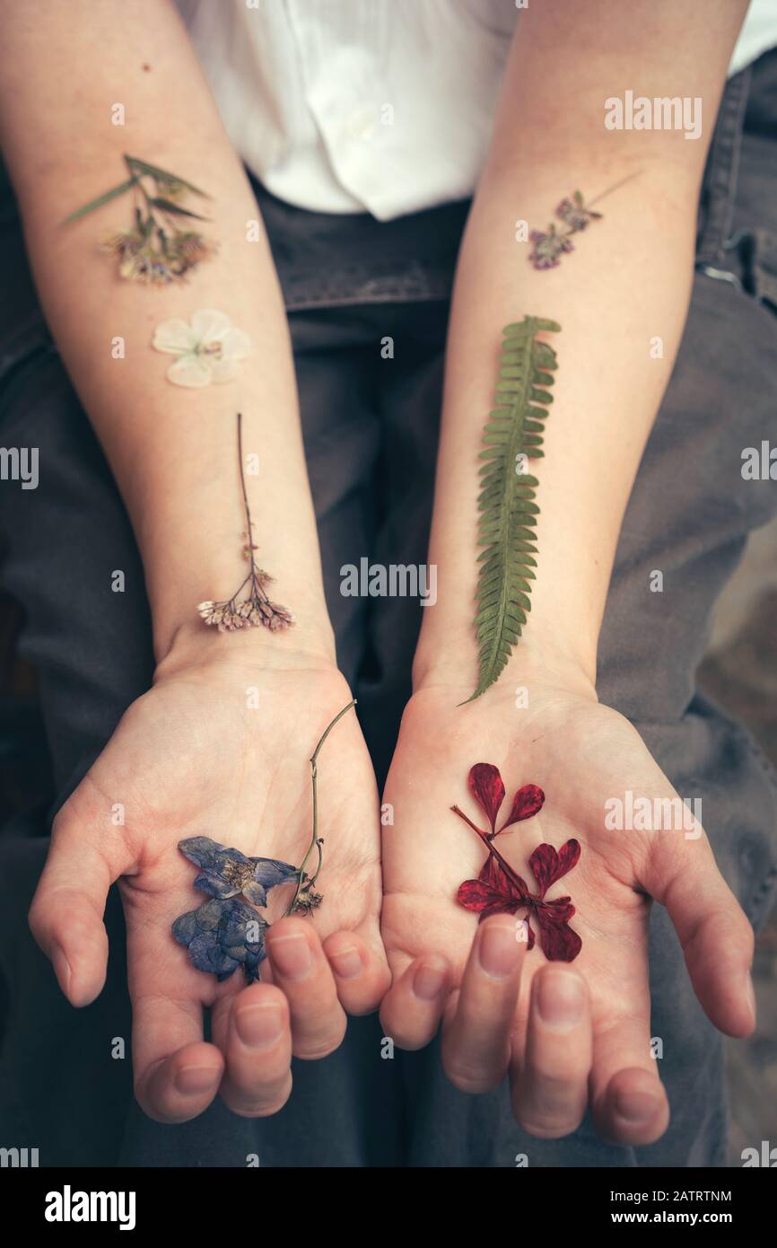 Fleurs séchées sur les mains d'une femme comme des tatouages, comme veins Banque D'Images