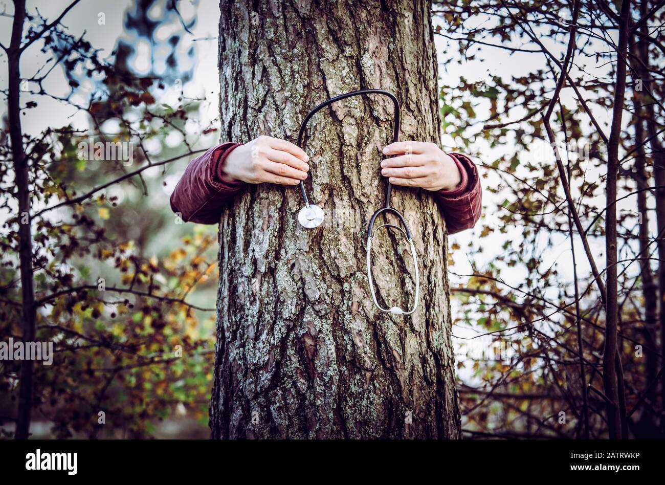 Concept de personne responsable de la santé forestière ou de la guérison de la nature. Femme mains tenant autour du tronc de pin et tenant le stéthoscope médical. Banque D'Images