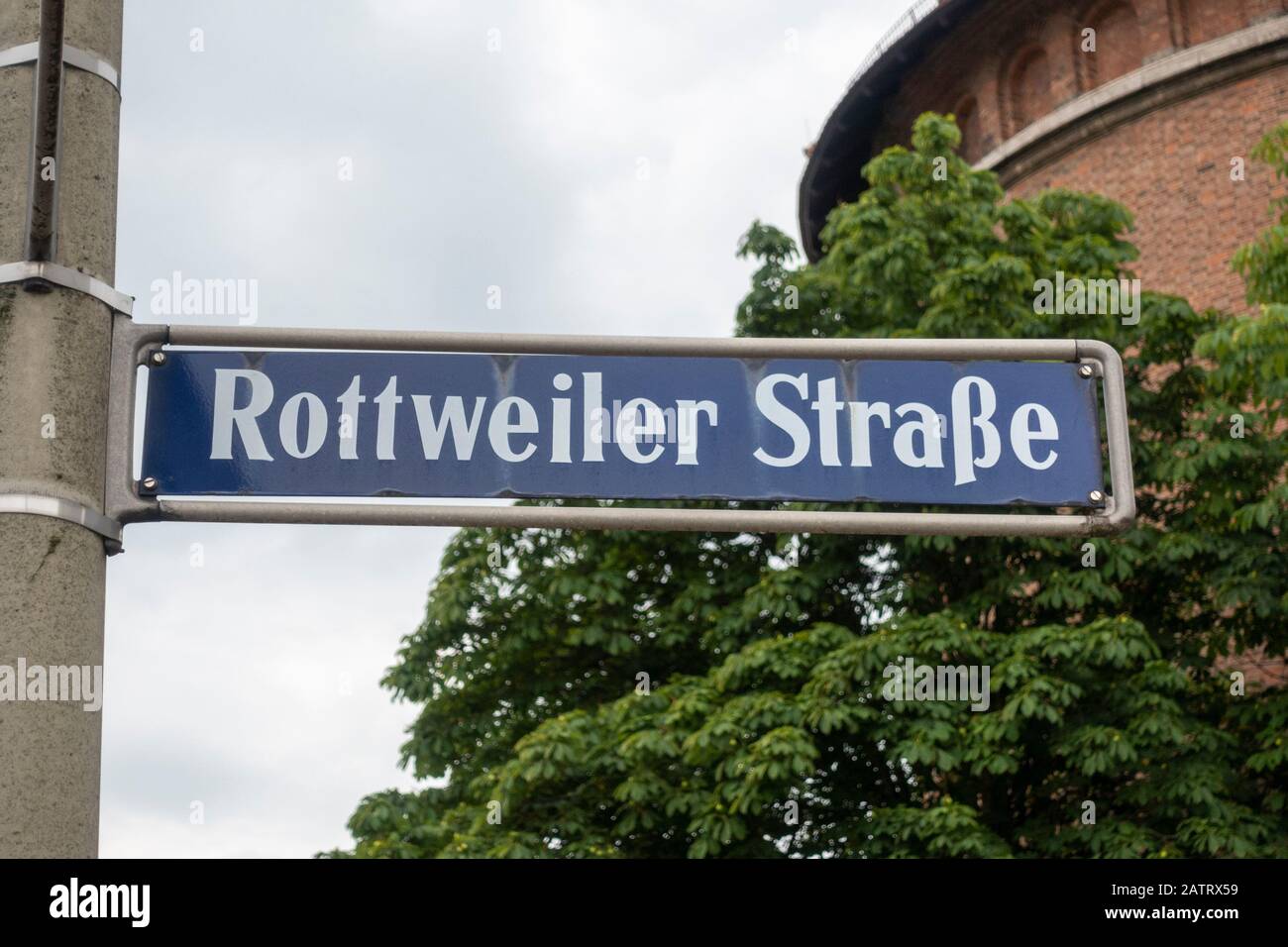 Rottweiler strasse Banque de photographies et d’images à haute