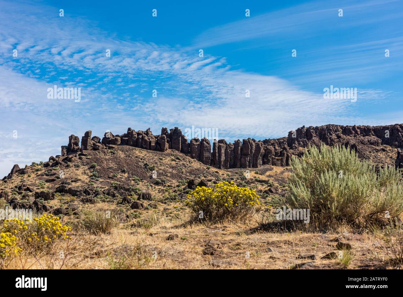 Les colonnes de basalte se sont formées lorsque la lave fondue s'est refroidie au-dessus du haut désert de l'est de Washington près de George; Washington, États-Unis d'Amérique Banque D'Images