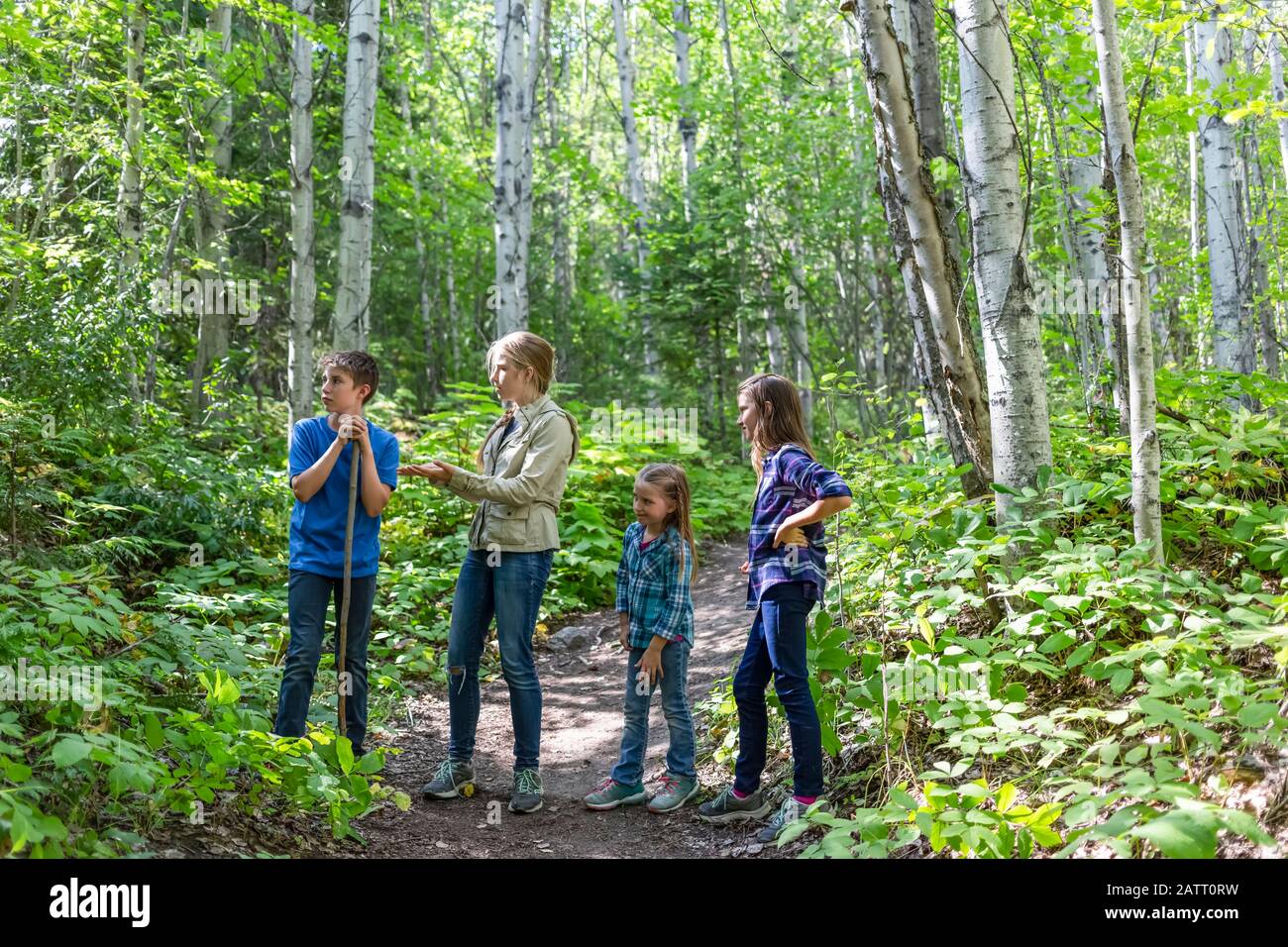 Quatre frères et sœurs, trois filles et un garçon, debout sur un sentier dans une forêt; Colombie-Britannique, Canada Banque D'Images