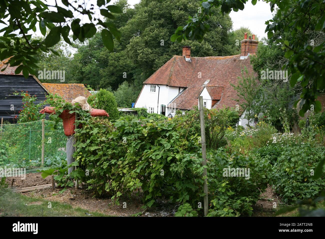 Le jardin d'époque du cottage Manor Farm, Bursledon, Hampshire, Angleterre, Royaume-Uni, aujourd'hui un musée vivant, qui a été présenté dans la série BBC2 'Wartime Farm' Banque D'Images