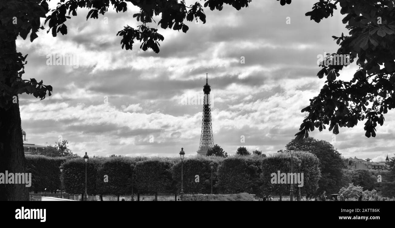 Tour Eiffel noire et blanche et nuages encadrées par Des Feuilles du jardin des Tuileries Banque D'Images