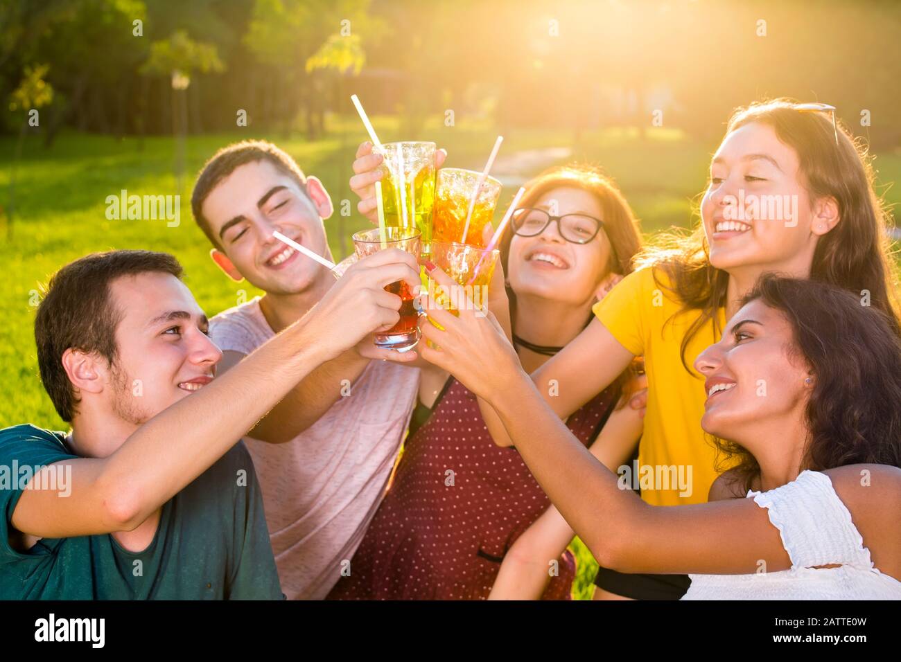 De jeunes amis heureux se dégustant des cocktails dans le parc pendant la fête de pique-nique. Gros plan portrait de groupe à partir de l'angle élevé. Banque D'Images