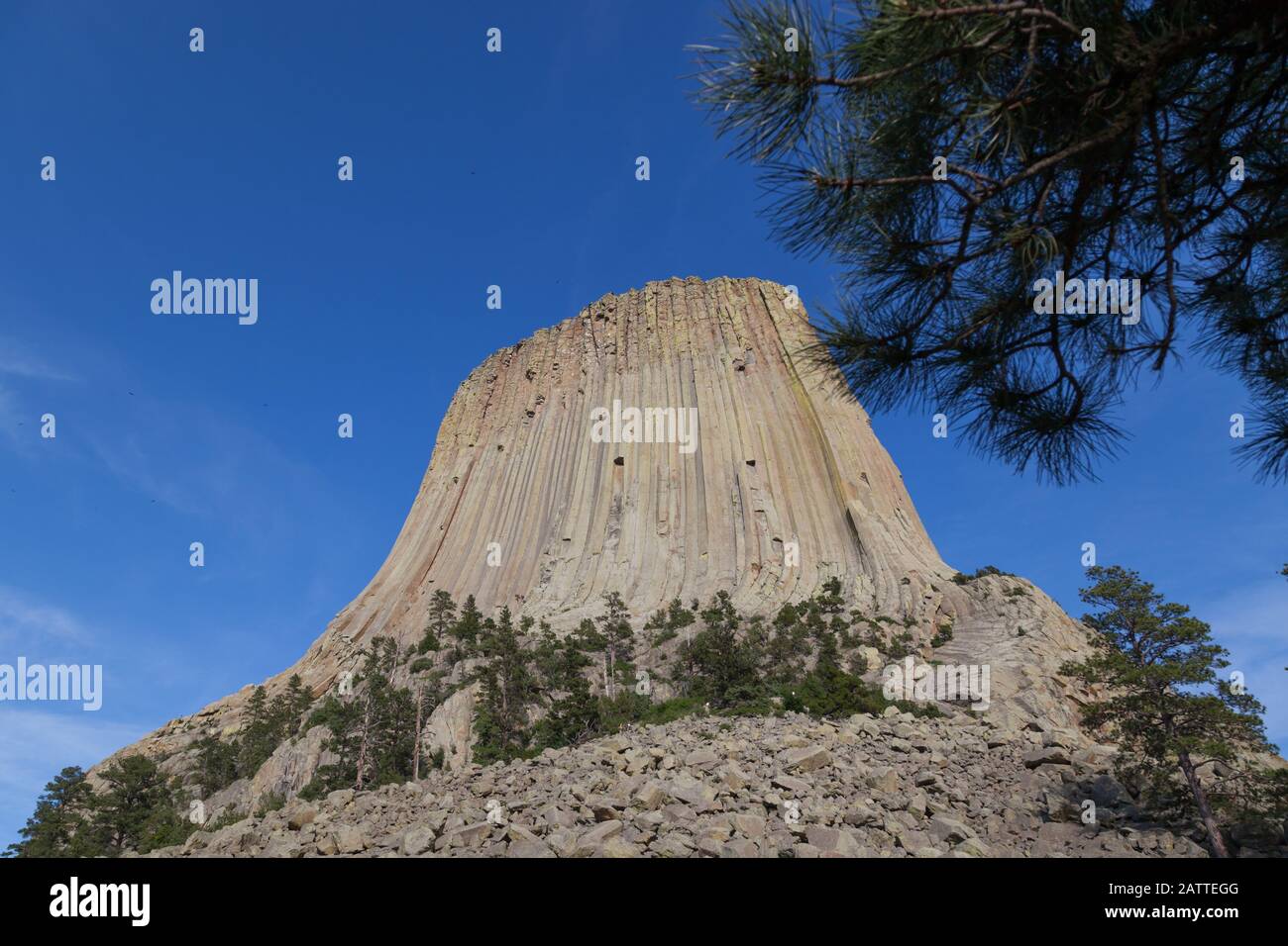 Les spectaculaires colonnes de roche verticales qui forment le monument national de la Tour des Devils dans le Wyoming contre un ciel bleu clair et entouré d'arbres. Banque D'Images