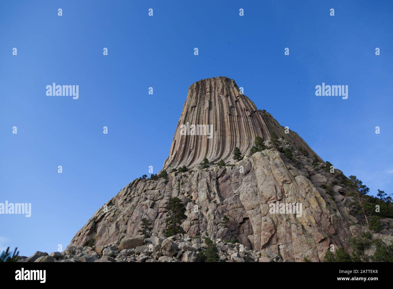 Les spectaculaires colonnes de roche verticales qui forment le monument national de la Tour des Devils dans le Wyoming contre un ciel bleu clair et entouré d'arbres. Banque D'Images