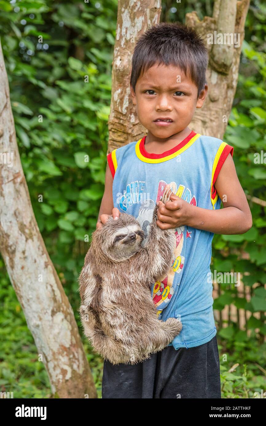 Jeune garçon avec son 'animal de compagnie' à gorge brune, Bradypus variegatus, San Francisco Village, Loreto, Pérou, Amérique du Sud Banque D'Images