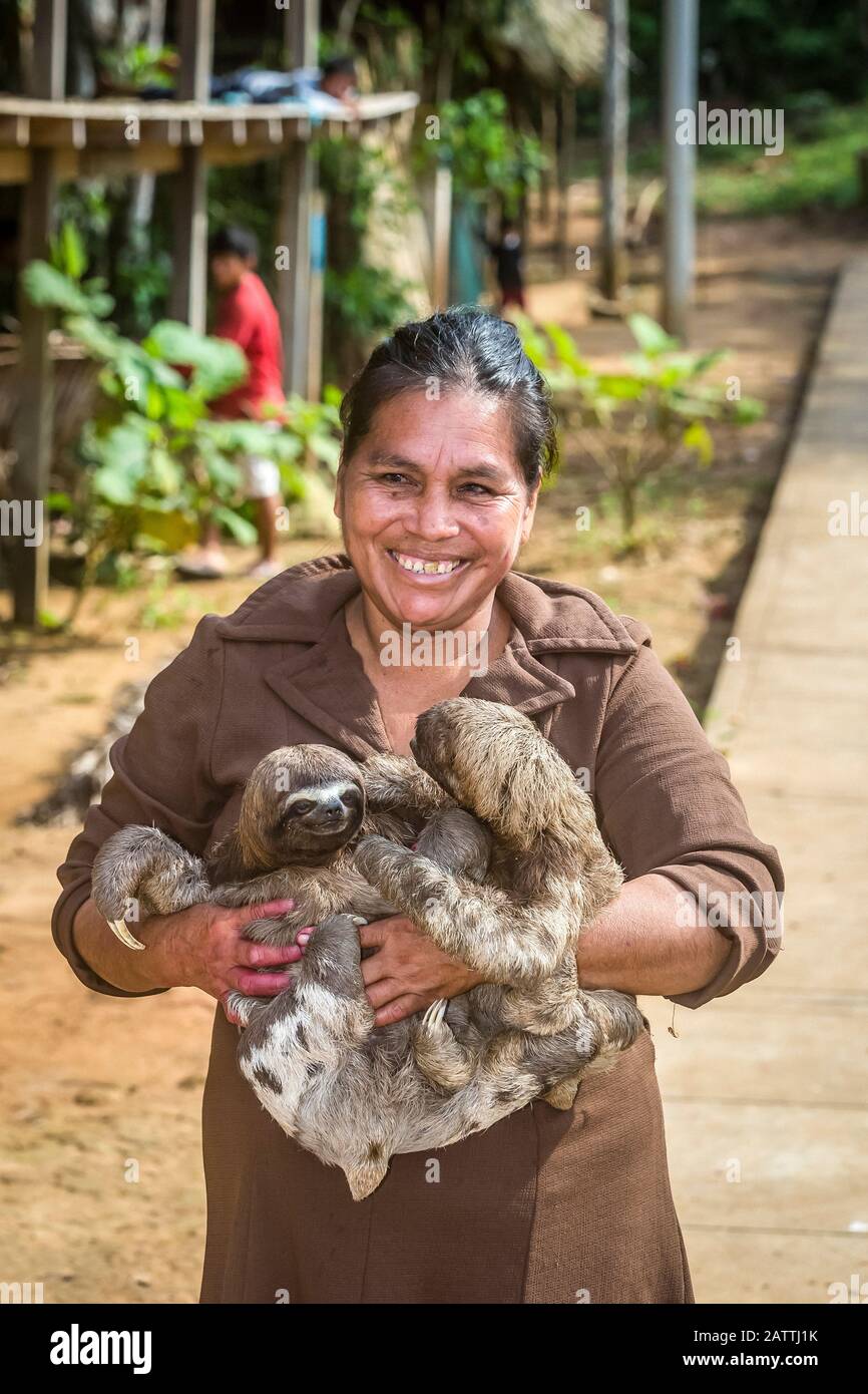 Femme avec ses paresseux à gorge brune, Bradypus variegatus, San Francisco Village, Loreto, Pérou, Amérique du Sud Banque D'Images