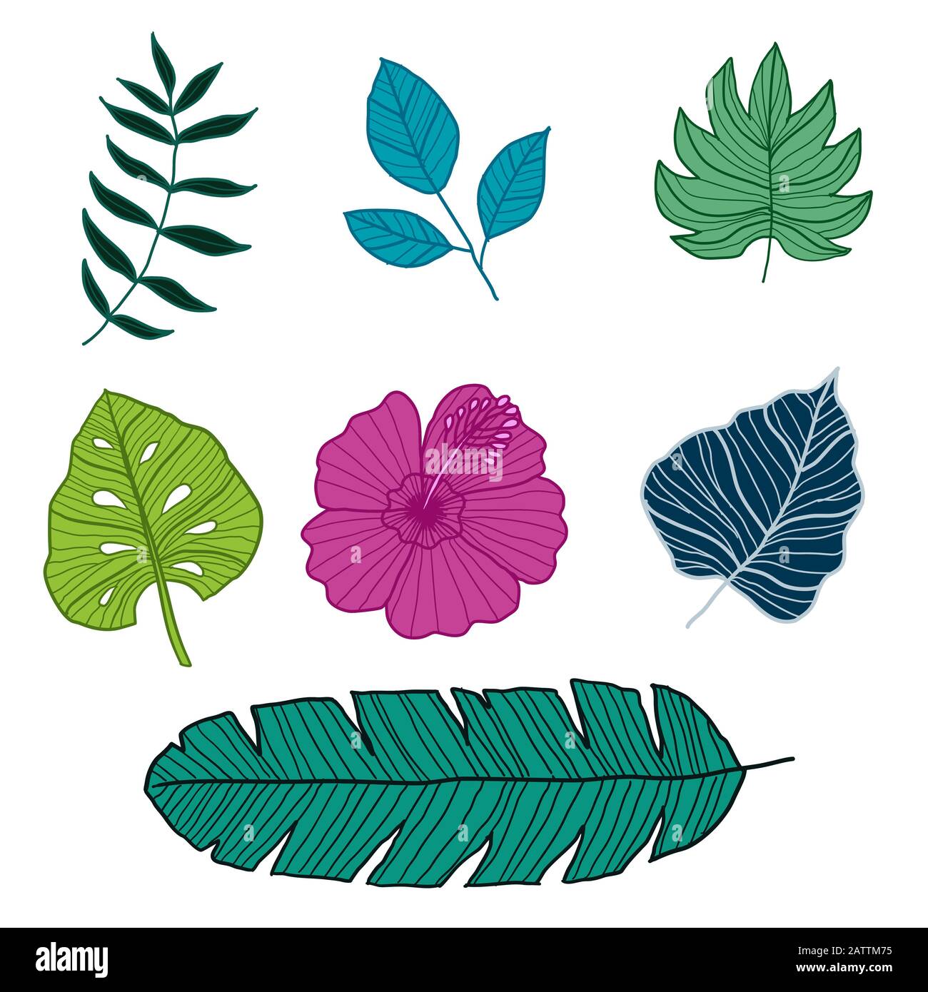 Ensemble d'éléments vectoriels botaniques, de feuilles tropicales et de fleurs sur fond blanc. Style dessiné à la main - Illustration vectorielle Illustration de Vecteur