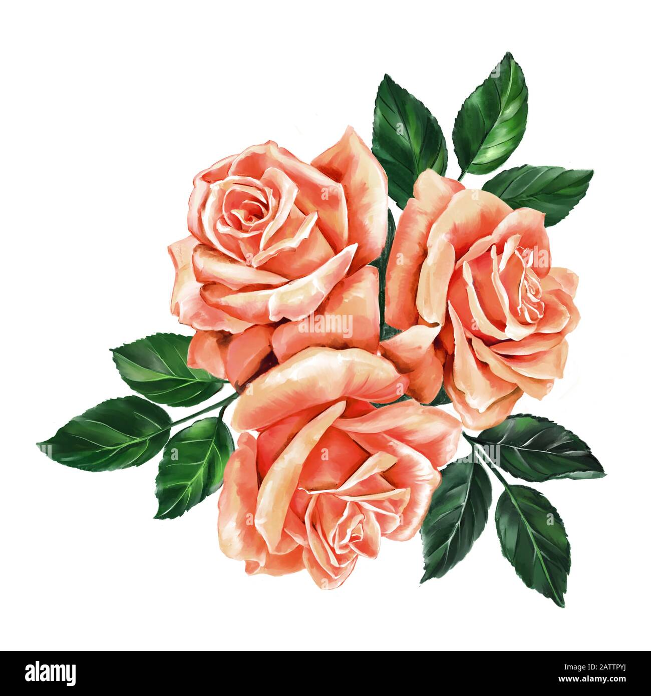 fleur rose rose avec feuilles vertes, illustration d'art peinte avec des aquarelles isolées sur fond blanc. Banque D'Images