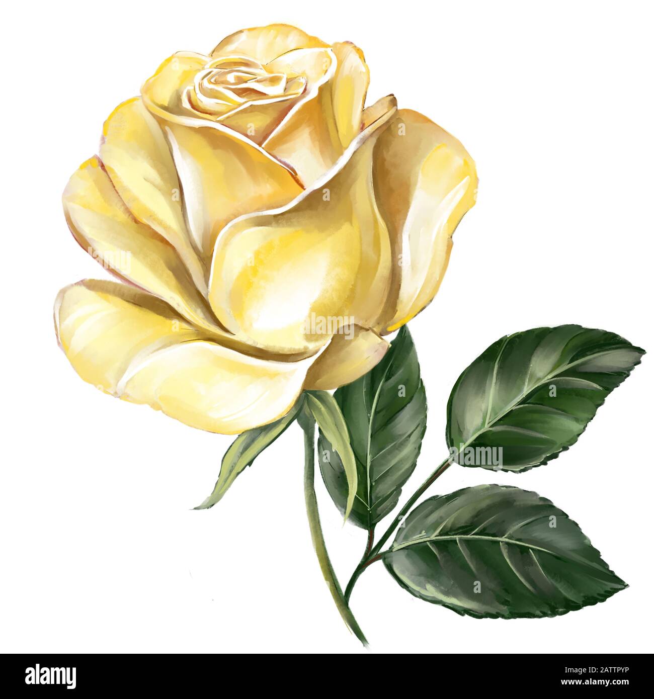fleur rose jaune avec feuilles vertes, illustration d'art peinte avec des aquarelles isolées sur fond blanc. Banque D'Images