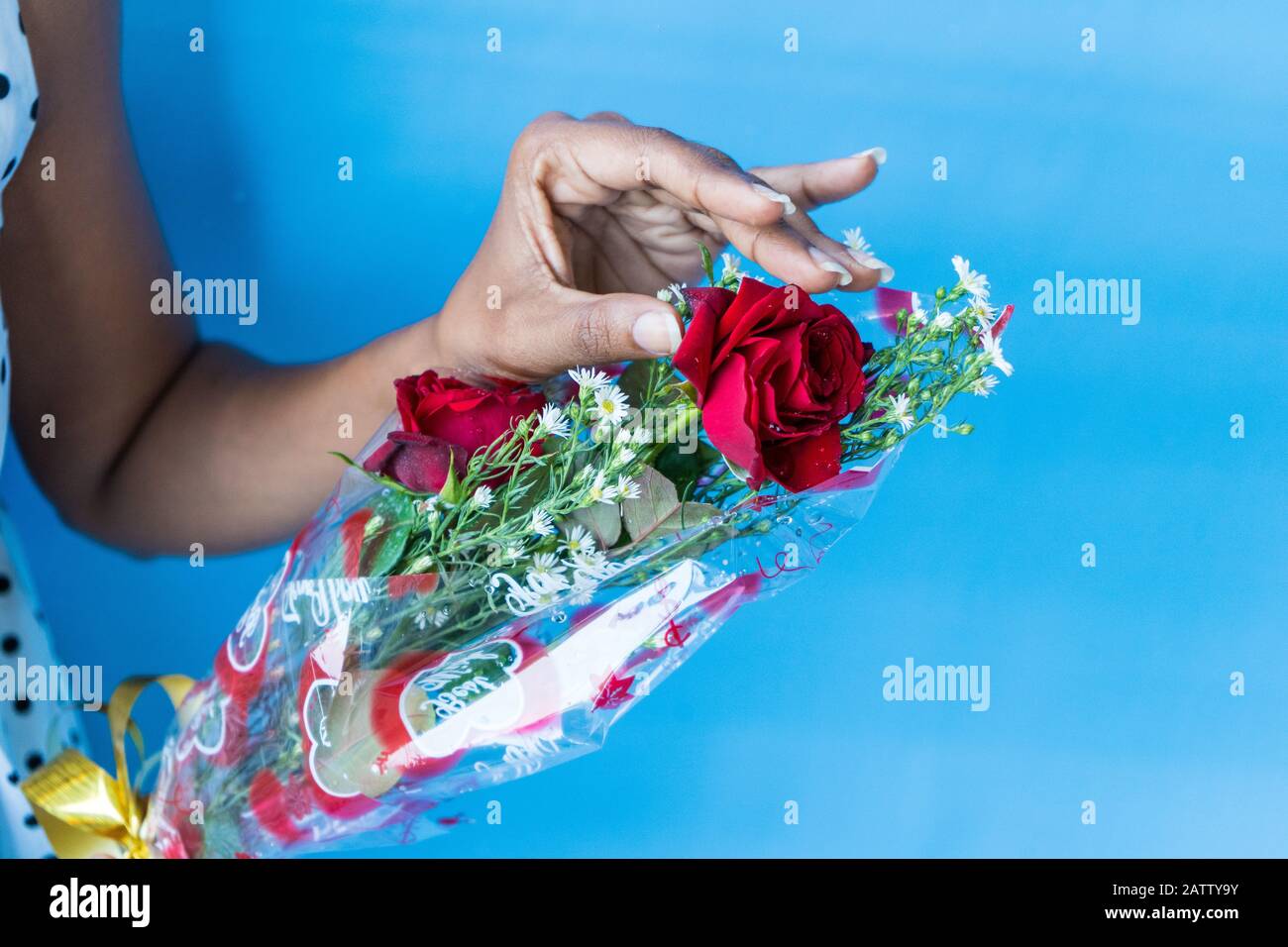 Main jeune femme tenant des fleurs de rose rouge Banque D'Images