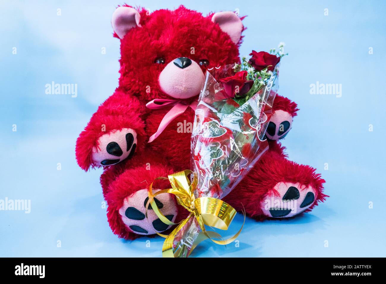 Ours en peluche tenant le bouquet de roses rouges valentines jour Banque D'Images