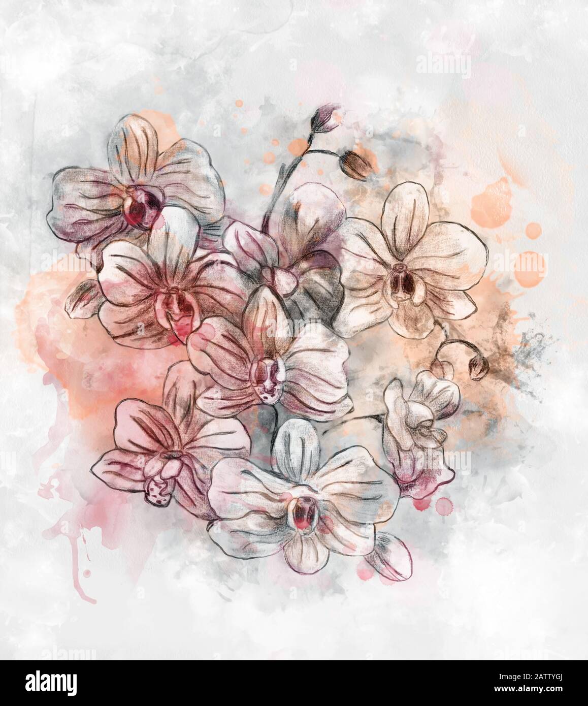 Collection de fleurs du printemps et de l'été – croquis d'orchidées de style pastels et aquarelle numérique Banque D'Images