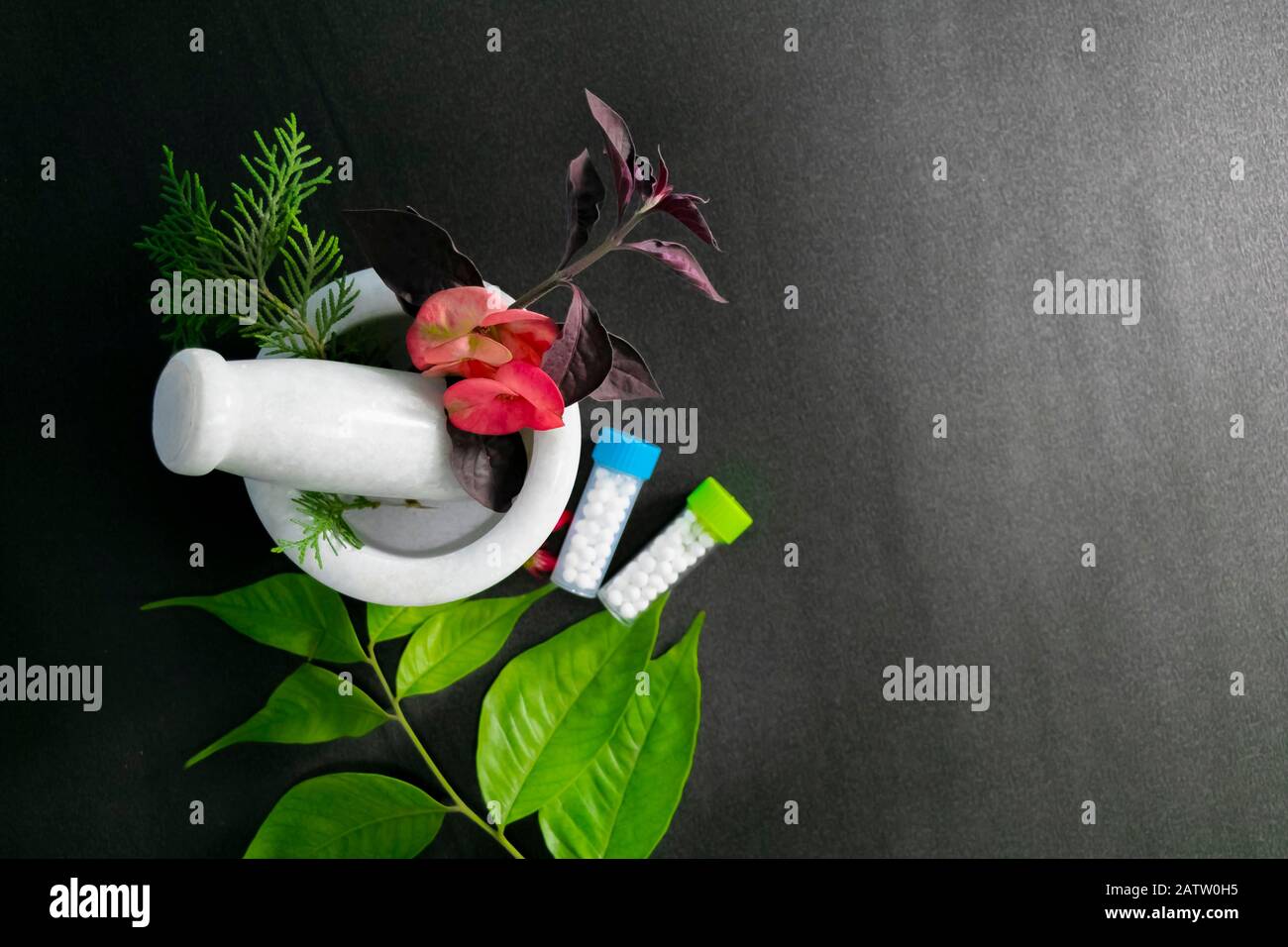 Mortier et herbes de guérison avec des flacons de globules homéopathiques et feuille verte sur la surface noire - vue de dessus Banque D'Images