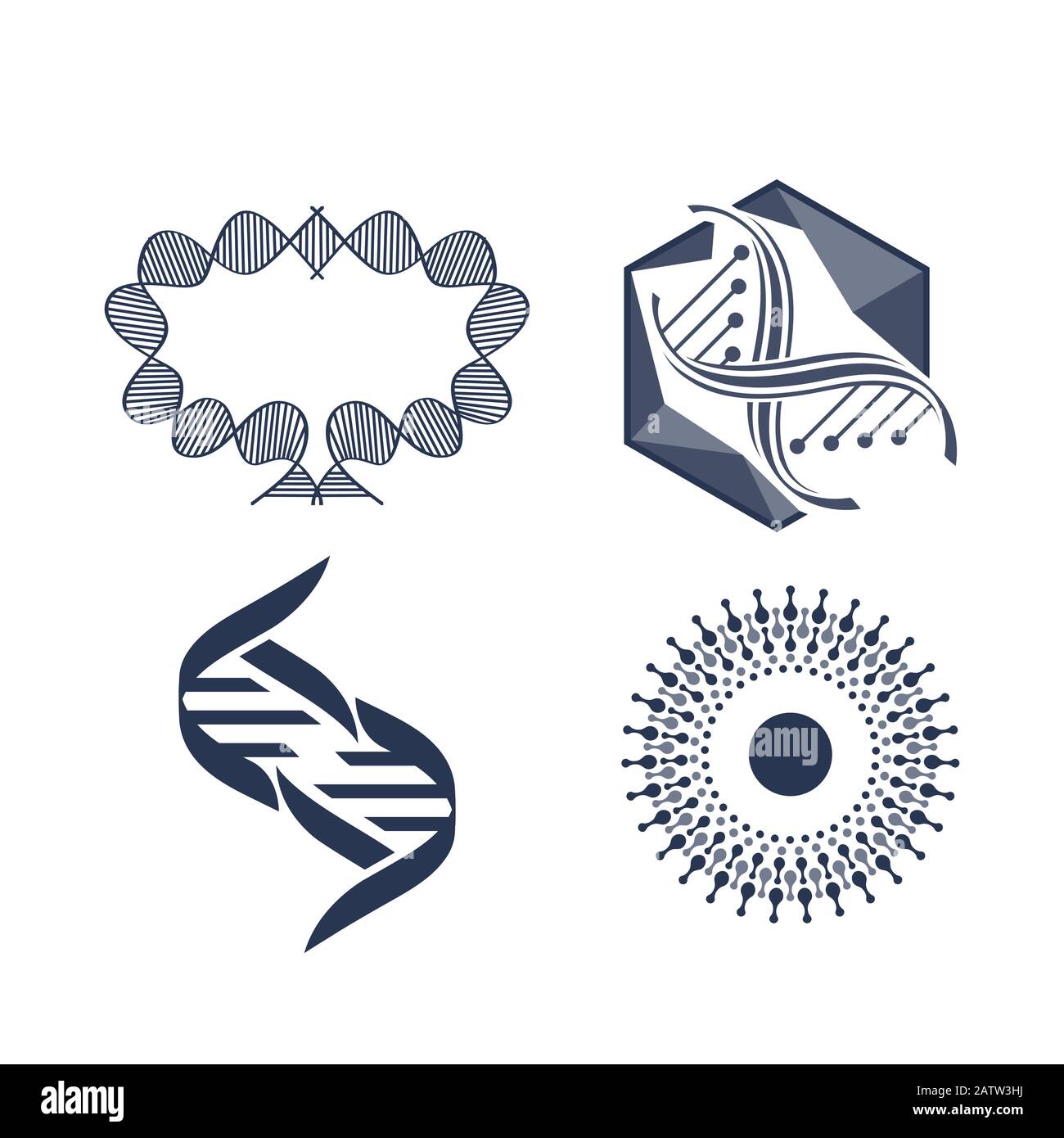 Badge de molécule hexagonale. Logo de structure moléculaire, grilles moléculaires et modèles de molécules hexagonales de chimie. ADN macromolécule, journal de biocode scientifique Illustration de Vecteur