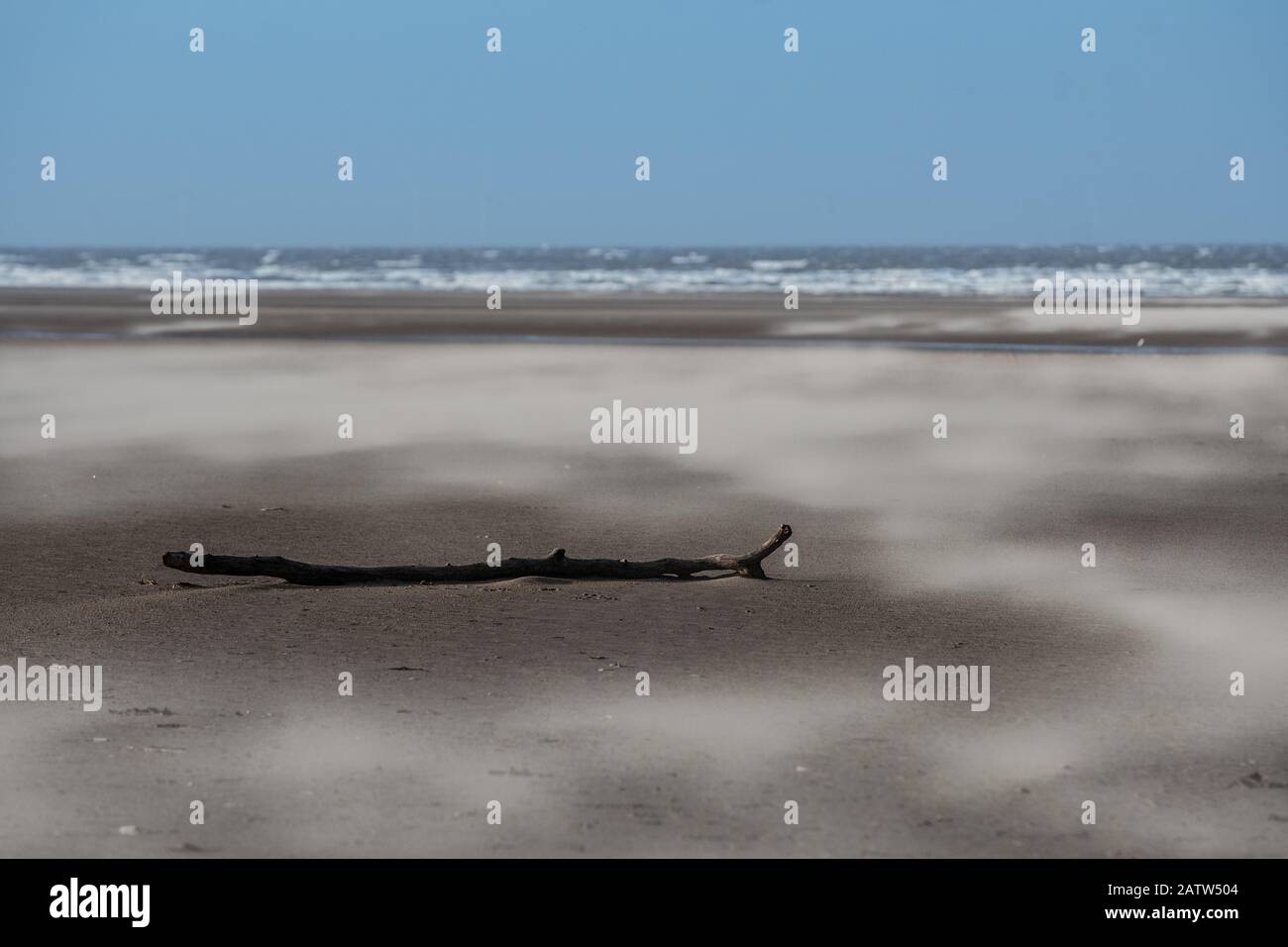 Sable soufflant sur une plage venteuse Banque D'Images