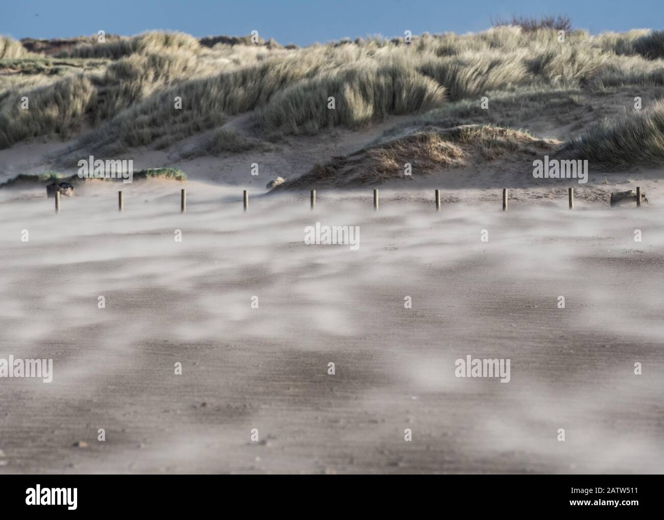 Sable soufflant sur une plage venteuse Banque D'Images