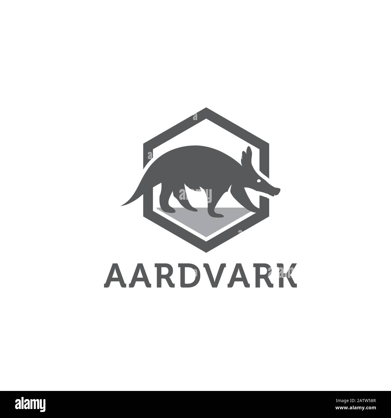 Illustration vectorielle de gravure d'esquisse d'animal Aardvark. Imitation de style planche à gratter. Image dessinée à la main. Illustration de Vecteur