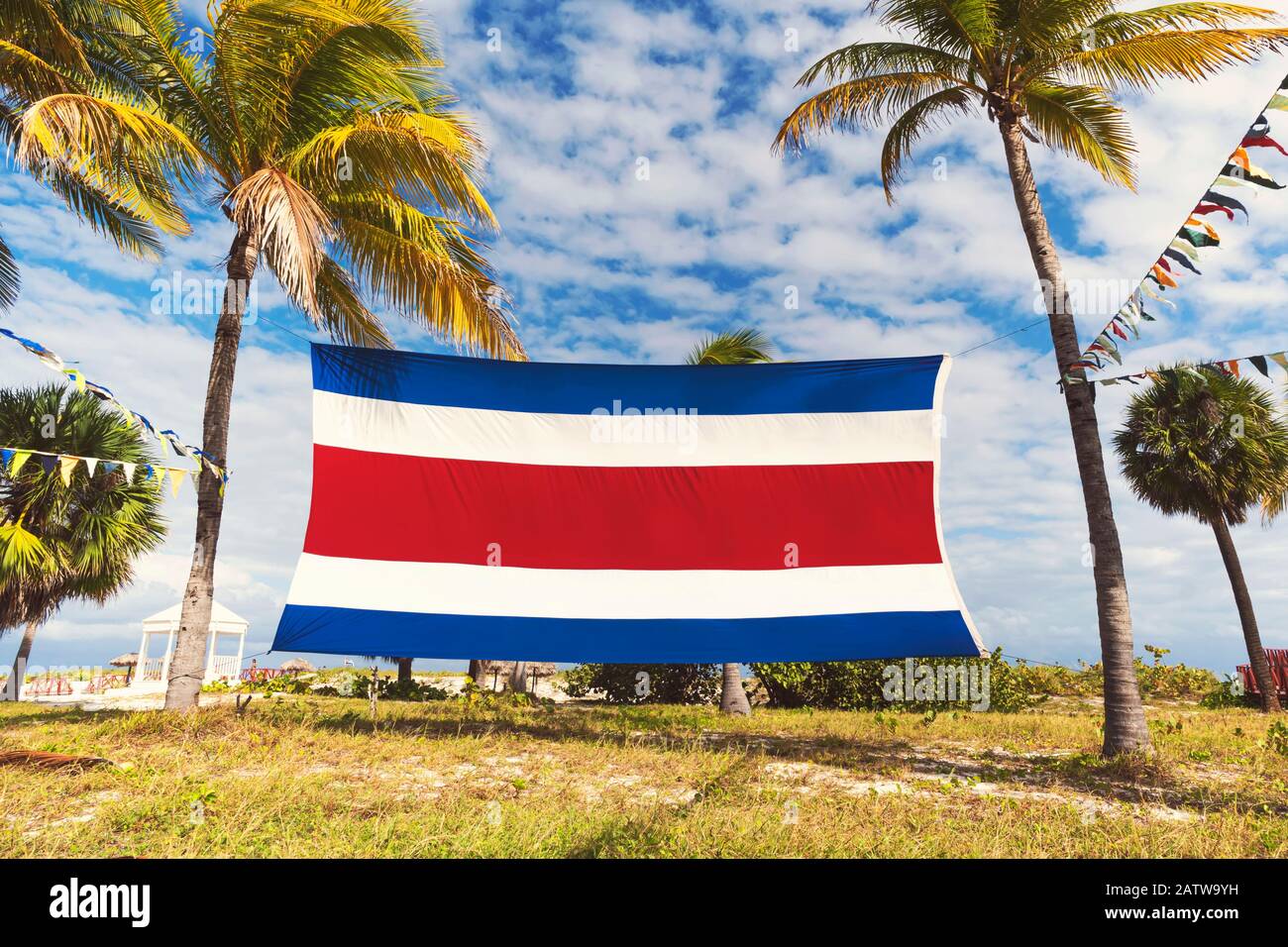Le drapeau du Costa Rica avec des palmiers et le ciel bleu nuageux. Beau paysage tropical. Une nature exotique du sud. Banque D'Images