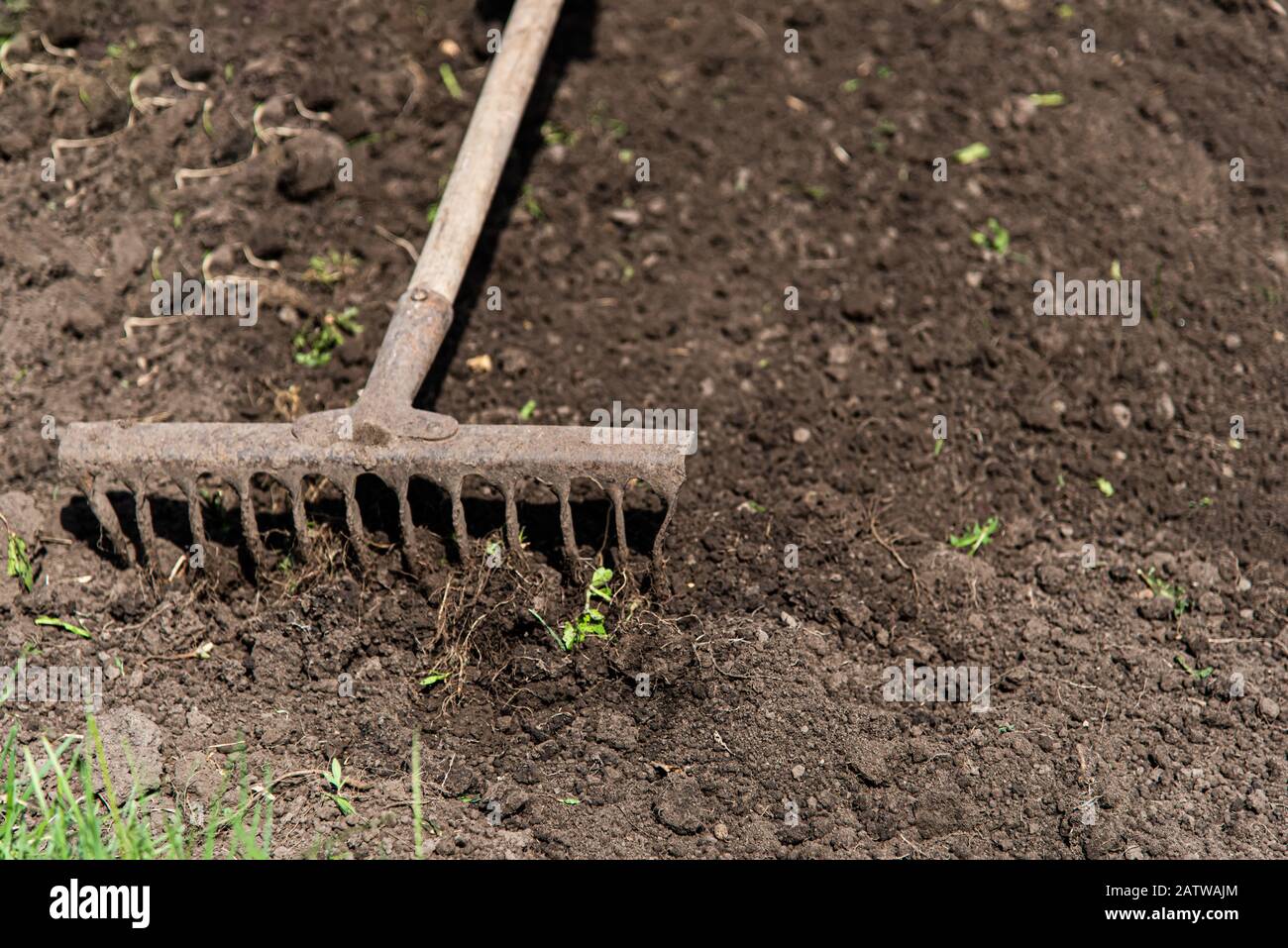Homme ratisse le sol au printemps. Close-up Photo Stock - Alamy
