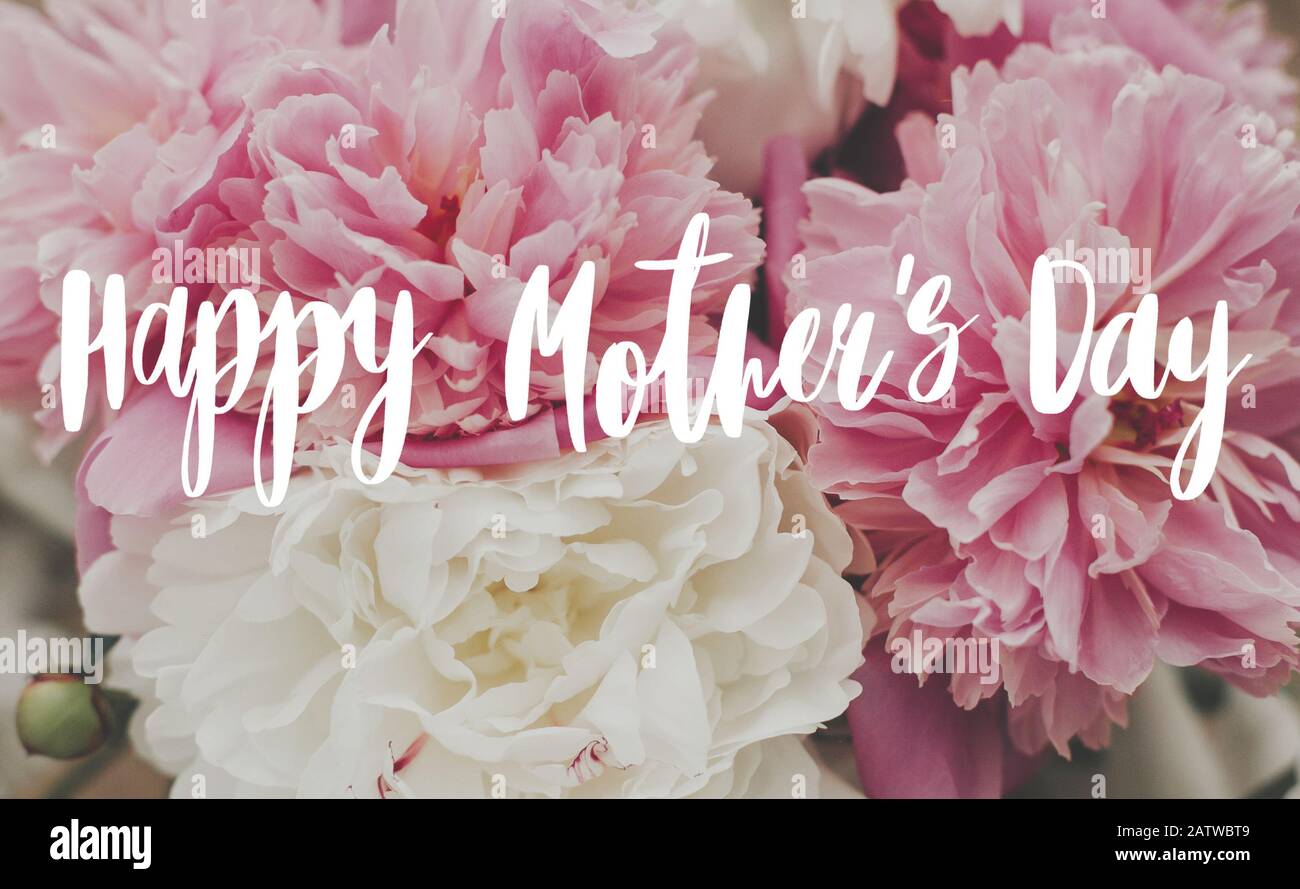 Bonne Fete Des Meres Texte Manuscrit Sur Beau Bouquet De Pivoines En Lumiere Ensoleillee Petales De Pivoine Roses Et Blanches Elegants Bonne Carte De Vœux Pour La Fete Des Meres Photo Stock