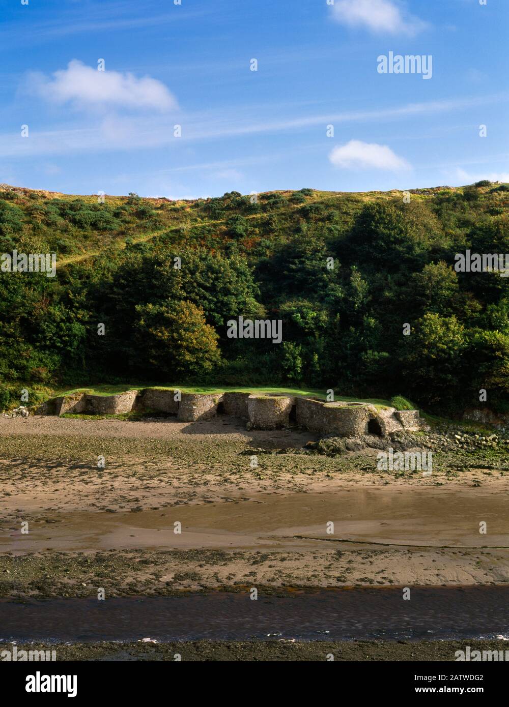 Quatre limousines géorgiennes circulaires reliées par des murs de retenue droits sur l'estran S au pied de la pointe Gribin du côté E du port de Solva, Pays de Galles, Royaume-Uni. Banque D'Images