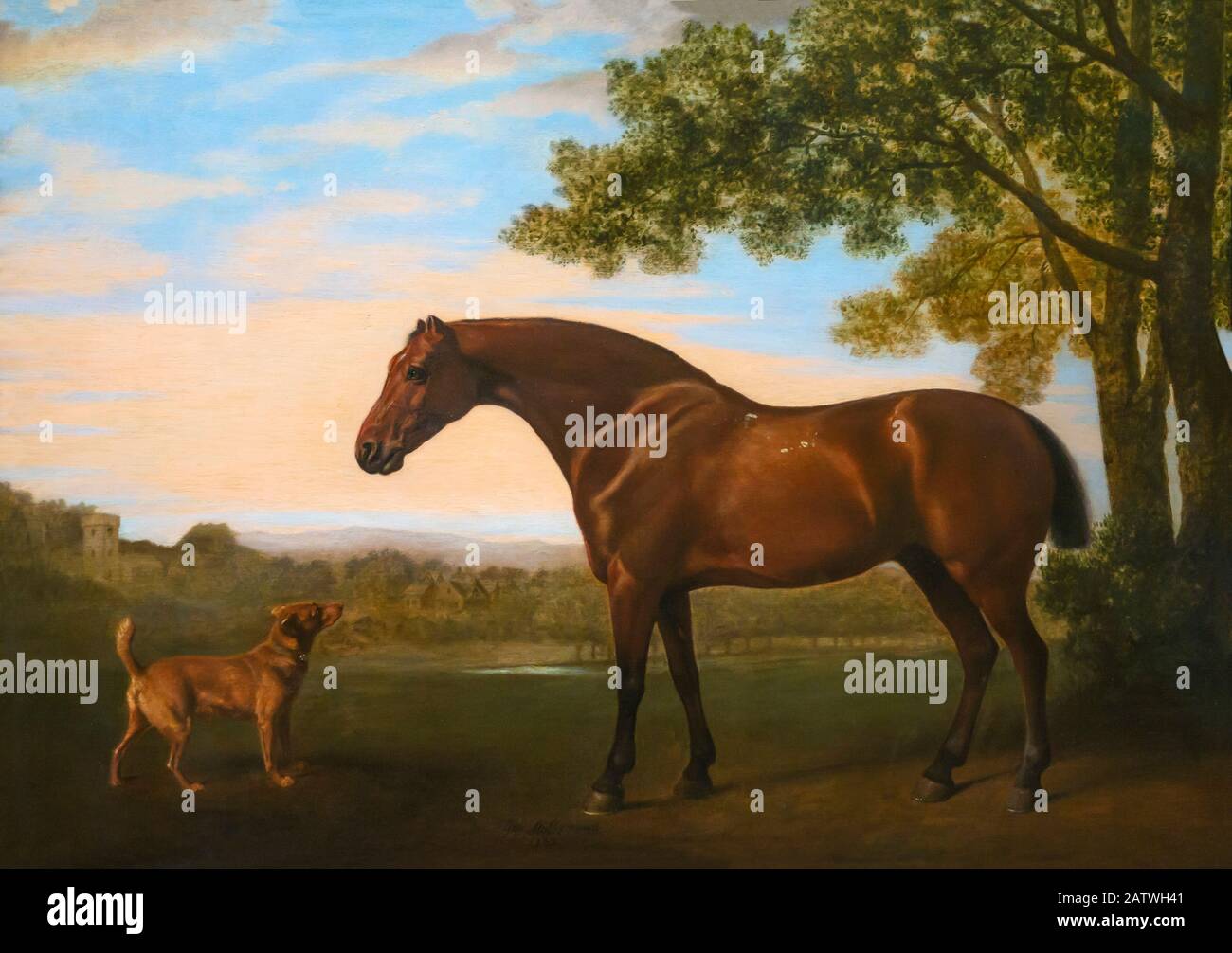 Cheval Et Chien 'Trim', George Stubbs, 1783, Banque D'Images