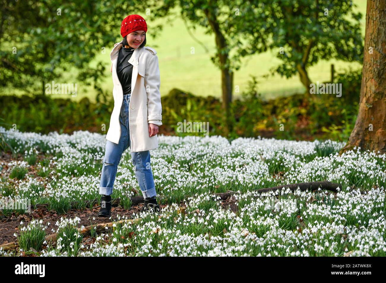 Une femme marche entre un tapis de chutes de neige en fleur au Painswick Rococo Garden, Painswick, Gloucestershire. Banque D'Images