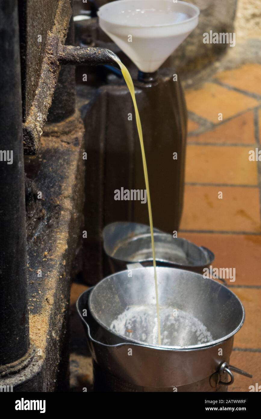 Au Moulin de Chanaz, écoulement d'huile de noix pressée à froid extrait par pressage à froid / verser / verser dans un récipient dans le moulin à eau traditionnel de noyer historique / moulin à eau en France. (112) Banque D'Images