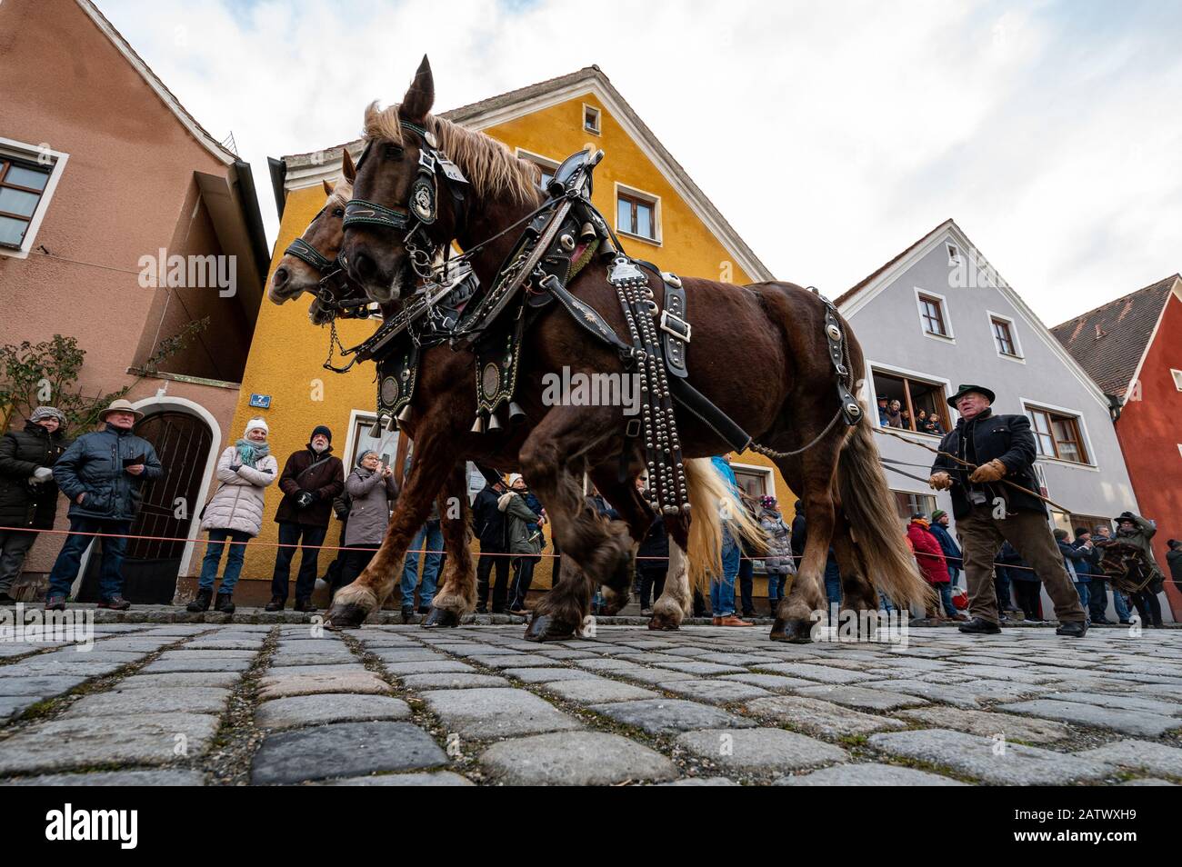 Berching, Allemagne. 05 février 2020. Les chevaux sont emmenés au marché des chevaux de Berchinger. Le Berchinger Rossmarkt est considéré comme le plus grand festival folklorique d'hiver de l'État libre. Crédit: Armin Weigel/Dpa/Alay Live News Banque D'Images
