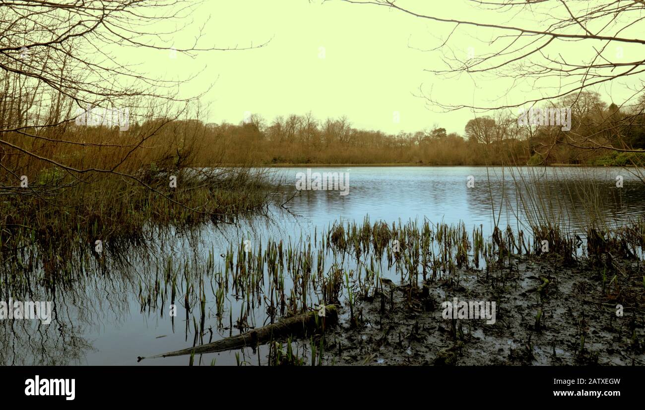 Glasgow, Ecosse, Royaume-Uni, 5 février 2020: Météo britannique: Premières chutes de neige à Kilmardinny loch dans la maison en bois du Gruffalo visité et vécu à proximité par l'auteur et commémoré par un sentier englobant des sculptures du classique des enfants. Copywrite Gerard Ferry/ Alay Live News Banque D'Images