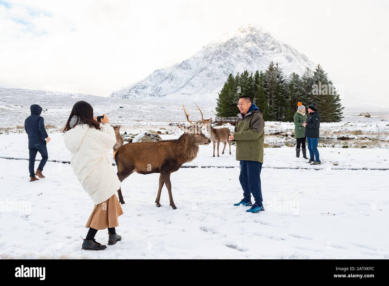 Les touristes photographiant des cerfs à l'hôtel Kingshouse, Glen COE, Écosse, Royaume-Uni en hiver Banque D'Images