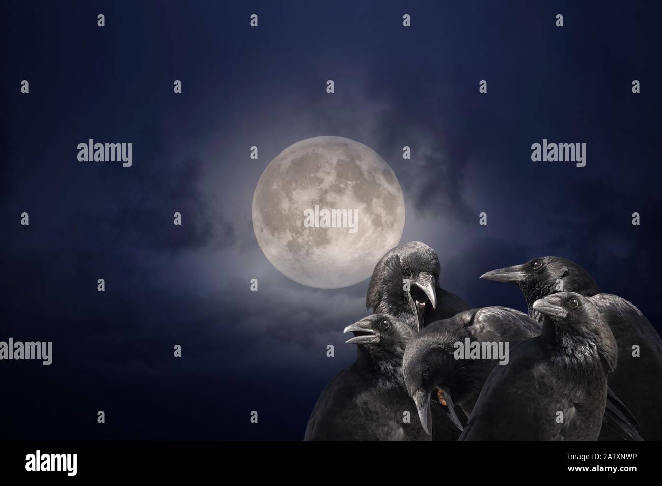 Groupe de corneilles sur une nuit misty pleine lune Banque D'Images