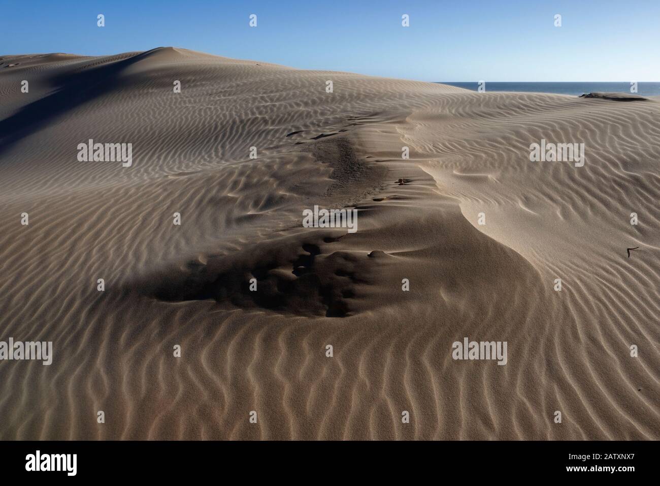 Des ripples de sable et des motifs, formes et textures sculptés par le vent dans les imposantes dunes de sable de la baie de Sardaigne, Port Elizabeth, Cap oriental, Afrique du Sud Banque D'Images