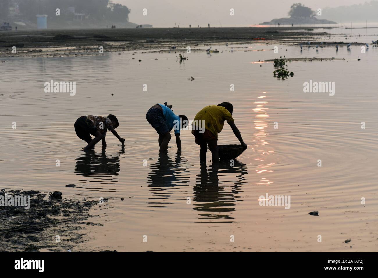 5 février 2020, Guwahati, Assam, Inde: Les enfants qui cherchent des poissons dans la rivière Brahmapoutre, à Guwahati. (Image Crédit : © David Talukdar/Zuma Wire) Banque D'Images