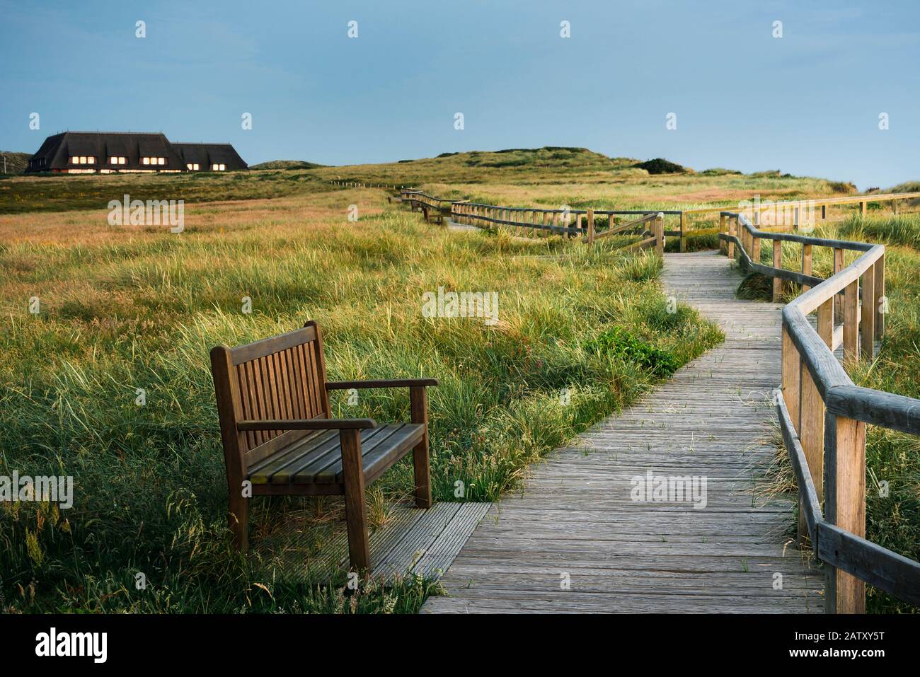 Passage en bois à travers des dunes herbeuses avec de l'herbe de marram sur l'île de Sylt, en mer du Nord, en Allemagne. Paysage de soirée dans la nature protégée. Campagne frisonne. Banque D'Images