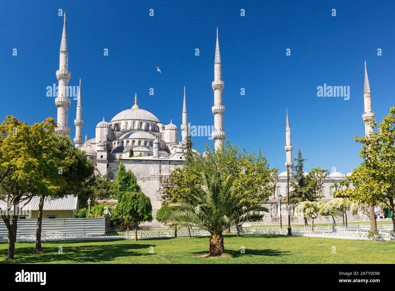 Vue sur la Mosquée Bleue (Sultanahmet Camii) à Istanbul, Turquie Banque D'Images