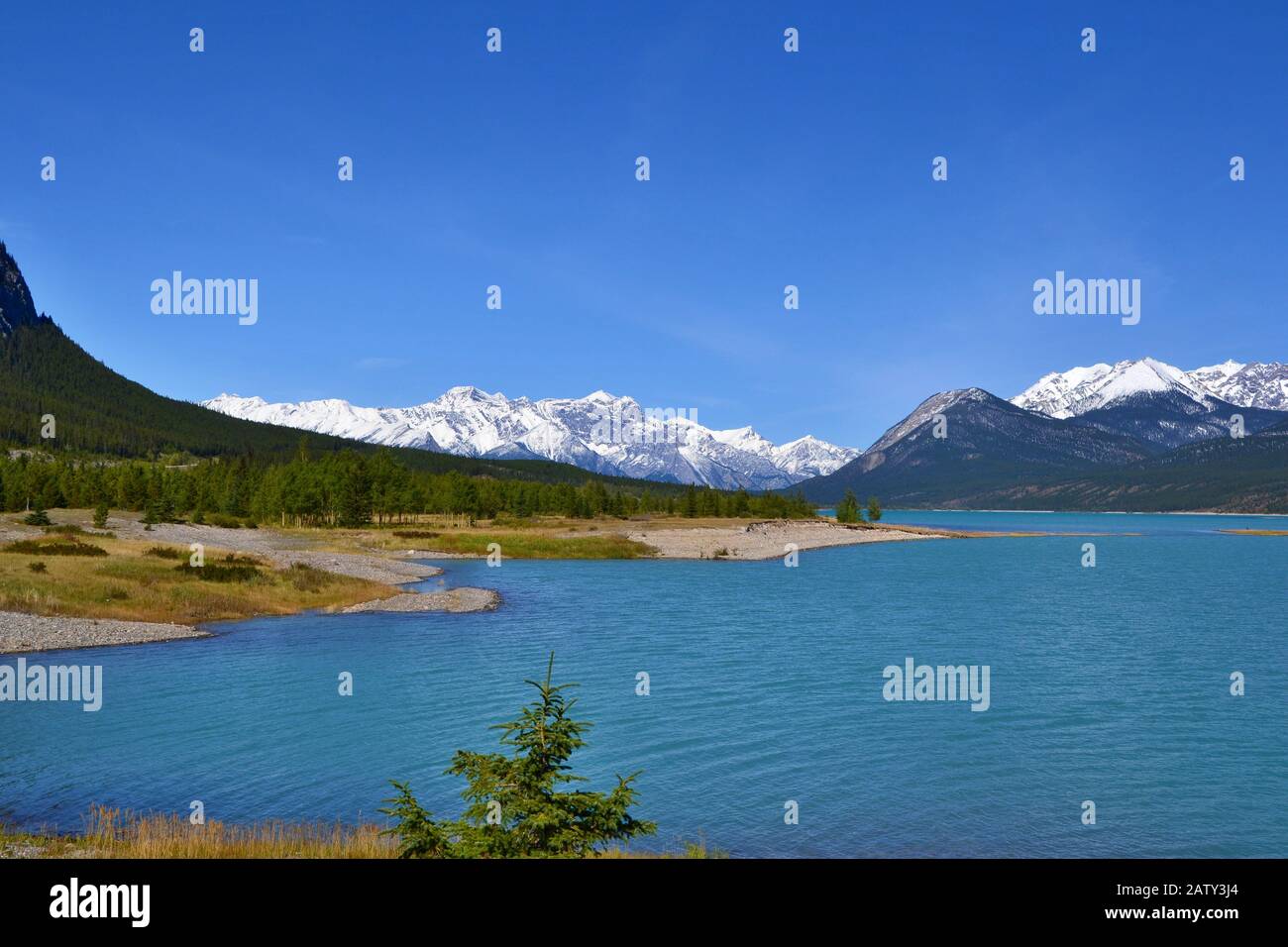 Beau lac bleu Abraham avec de hautes montagnes couvertes de neige en arrière-plan. Journée ensoleillée, ciel bleu, Réserve écologique des plaines Kootenay. Canada. Banque D'Images