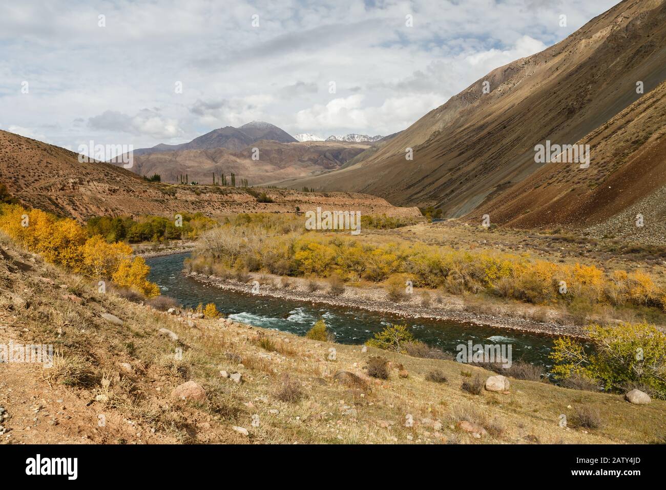 Rivière Kokemeren, Kyzyl-Oi, Kirghizstan, paysage d'automne de la montagne Banque D'Images