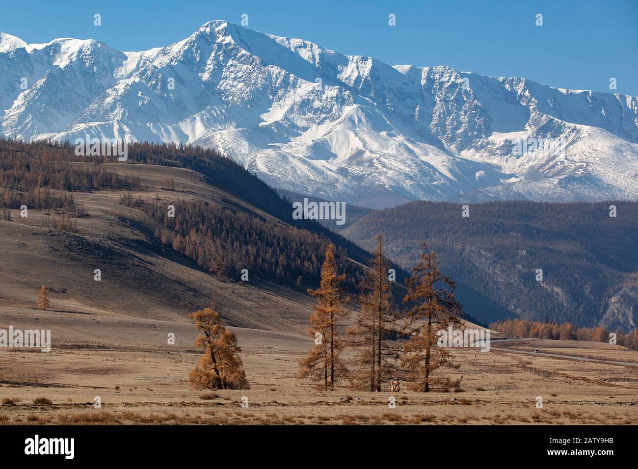 Automne dans la chaîne de montagnes de l'Altaï. Russie Sibérie Banque D'Images