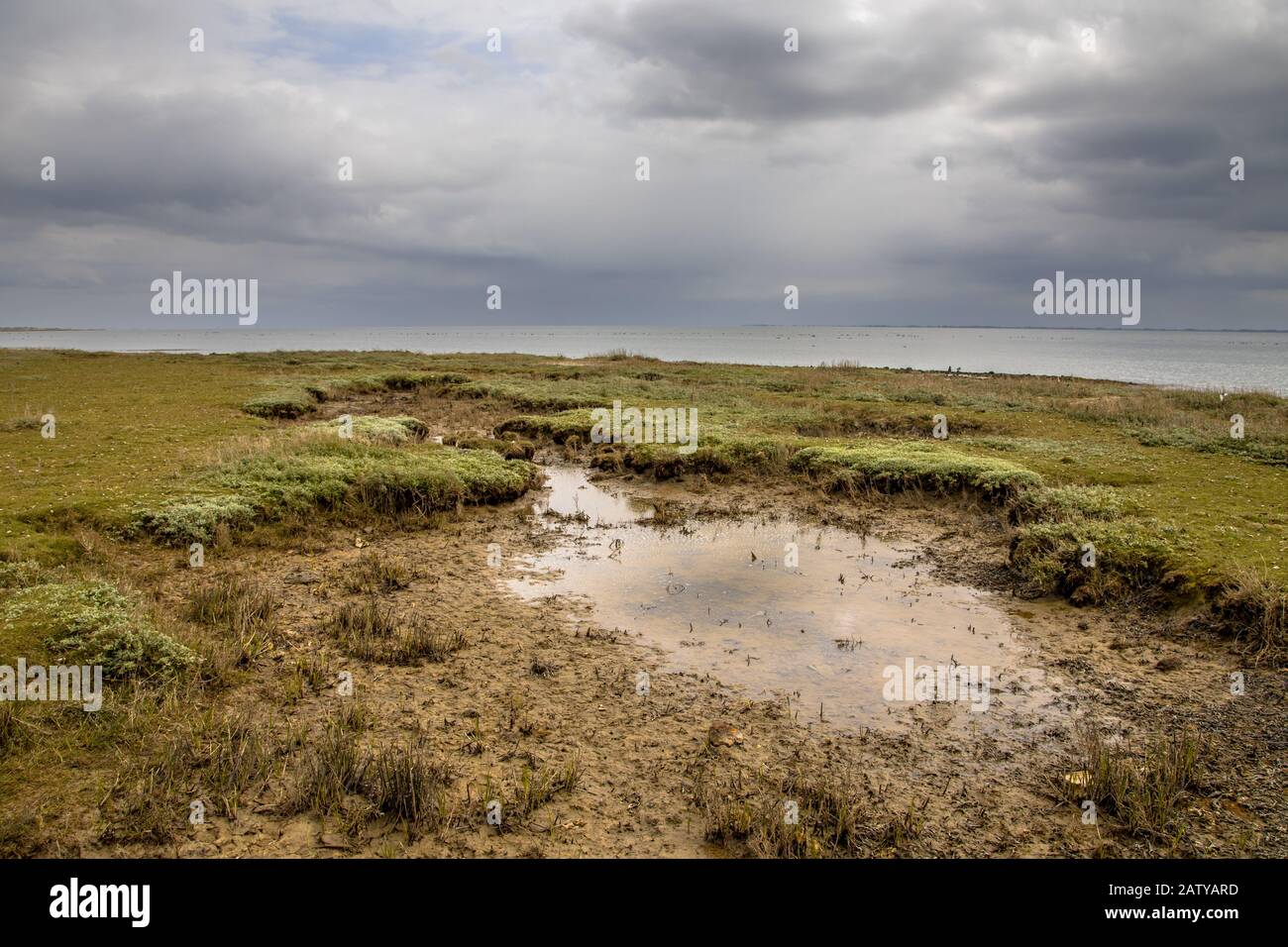 Marais furtif dans des conditions nuageux sur l'île frisonne d'Ameland Banque D'Images